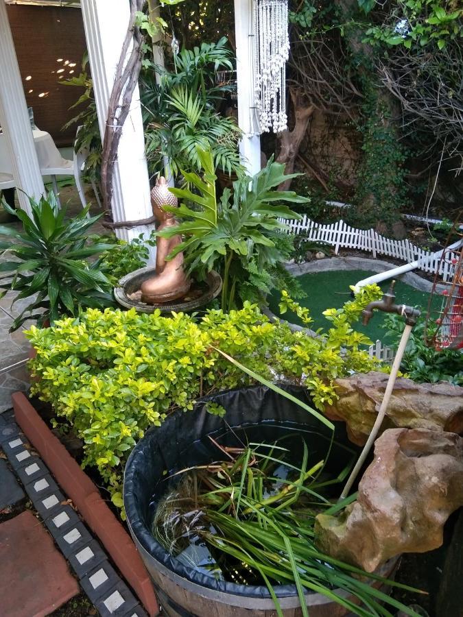 Mitchell's Guesthouse Parow Extérieur photo